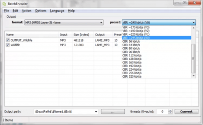 Screenshot of the application BatchEncoder - #3