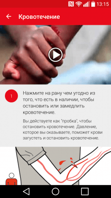 Screenshot of the application First Aid - IFRC - #3
