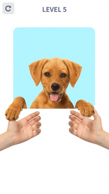 Screenshot of the application Brain Puzzle: 99 Games - #6