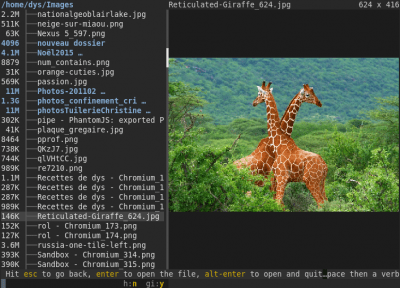 Screenshot of the application Broot - #8