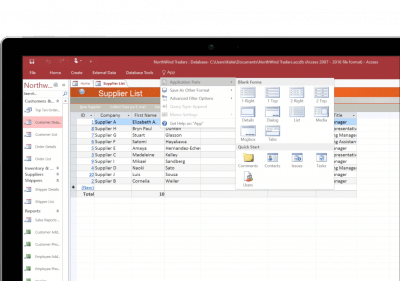 Screenshot of the application Microsoft Access - #4