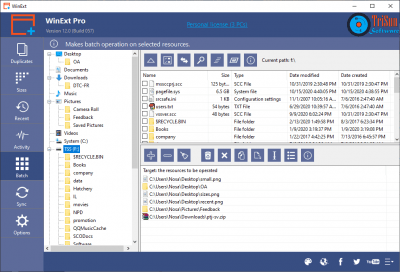 Screenshot of the application WinExt - #2