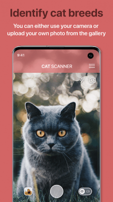 Screenshot of the application Cat Scanner - #1