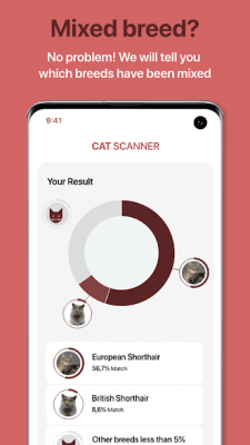 Screenshot of the application Cat Scanner - #2