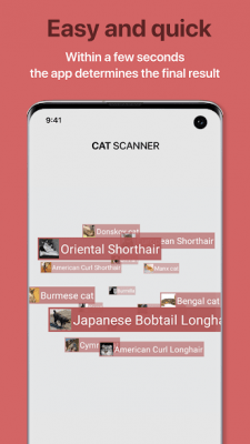 Screenshot of the application Cat Scanner - #3