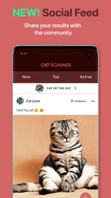Screenshot of the application Cat Scanner - #4