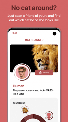 Screenshot of the application Cat Scanner - #6