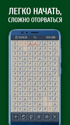 Screenshot of the application Seeds - A Numerical Puzzle - #4