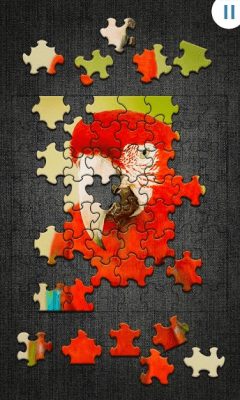Screenshot of the application Jigty Puzzles - #5
