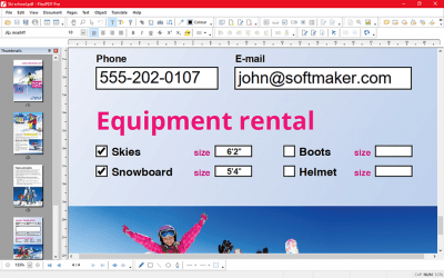 Screenshot of the application FlexiPDF Pro - #4