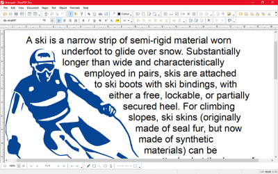 Screenshot of the application FlexiPDF Pro - #5