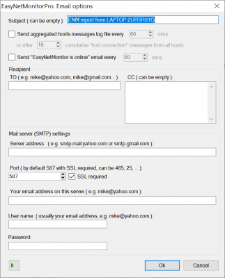 Screenshot of the application EasyNetMonitor Pro - #5