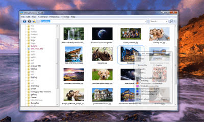 Screenshot of the application StrongRecovery - #3