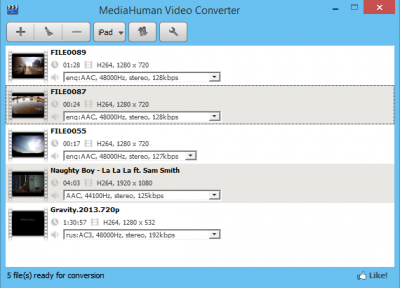 Screenshot of the application MediaHuman Video Converter for Windows - #1