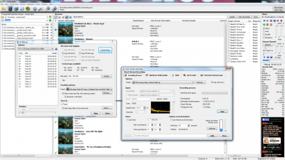 Screenshot of the application MP4 Stream Editor - #4