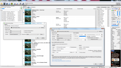 Screenshot of the application MP4 Stream Editor - #5