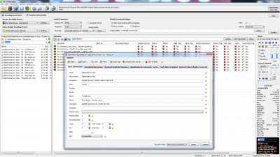 Screenshot of the application MP4 Stream Editor - #7
