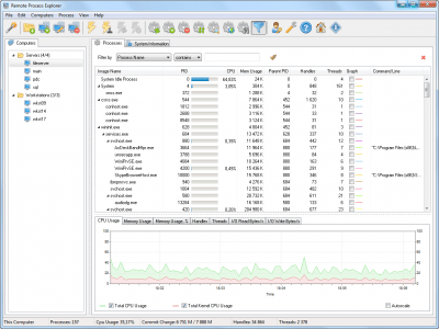 Screenshot of the application LizardSystems Remote Process Explorer - #1