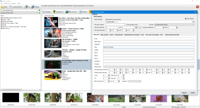 Screenshot of the application MKV Tag Editor - #1