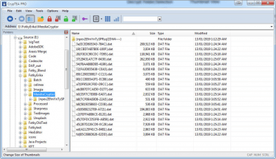 Screenshot of the application MediaCryptor (CrypTEA) - #1