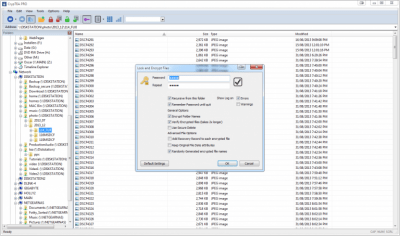 Screenshot of the application MediaCryptor (CrypTEA) - #6