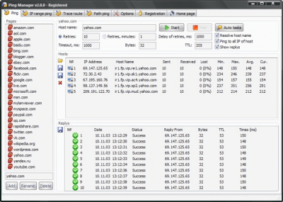 Screenshot of the application ICMP Ping Manager - #1