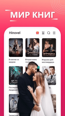 Screenshot of the application Hinovel - #3