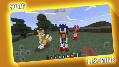 Screenshot of the application Sonik Mod Minecraft - #1