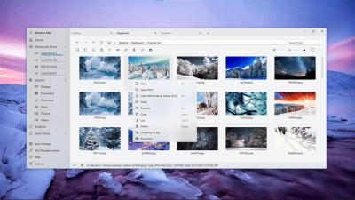 Screenshot of the application Shrestha Files - #4
