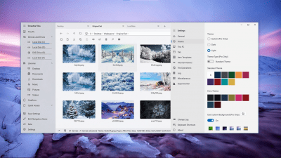 Screenshot of the application Shrestha Files - #6