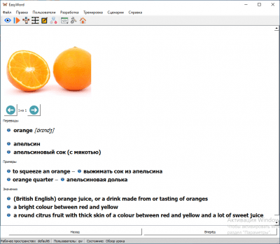 Screenshot of the application EasyWord - #4