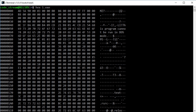 Screenshot of the application xTerminal - #2