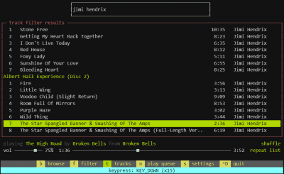 Screenshot of the application musikcube - #5