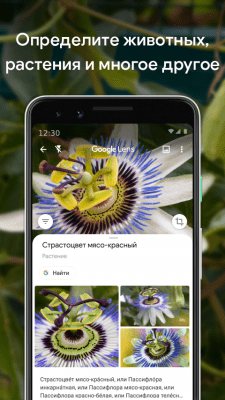 Screenshot of the application Google Lens - #3