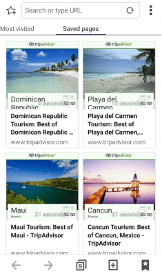 Screenshot of the application ASUS Browser - #4