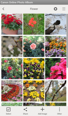 Screenshot of the application Canon Online Photo Album - #4