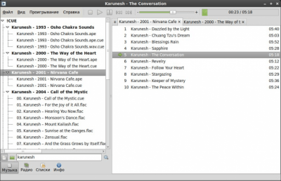Screenshot of the application Foobnix - #4