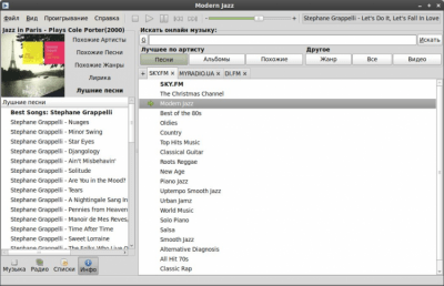 Screenshot of the application Foobnix - #7