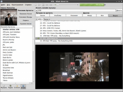 Screenshot of the application Foobnix - #8
