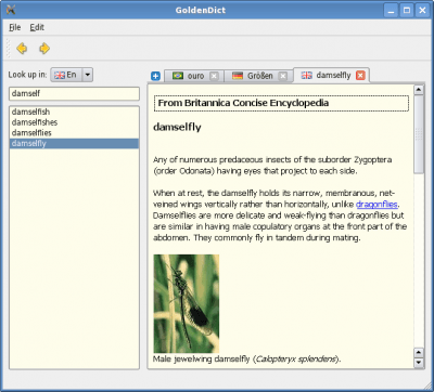 Screenshot of the application GoldenDict - #12