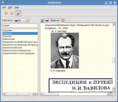 Screenshot of the application GoldenDict - #14