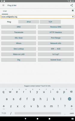 Screenshot of the application Ping & Net - #7