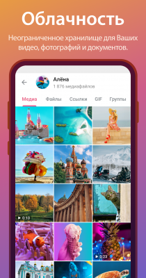 Screenshot of the application Telegram - #6