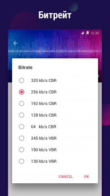 Screenshot of the application Video to MP3 Converter - #3