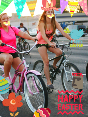 Screenshot of the application Eggcellent-Photo Grid Plugin - #4