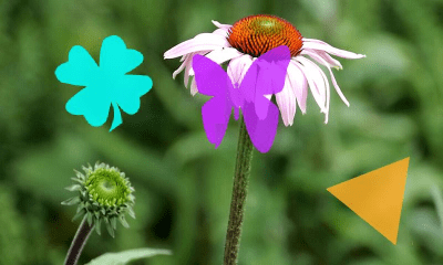 Screenshot of the application Smart Lock (plugin) - #5