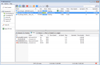 Screenshot of the application BitTorrent - #1