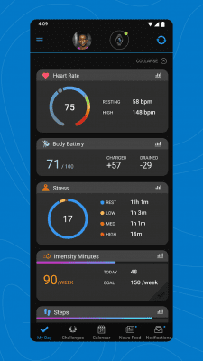 Screenshot of the application Garmin Connect - #1