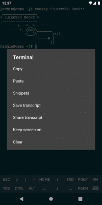 Screenshot of the application JuiceSSH - SSH Client - #8