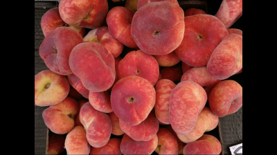 Screenshot of the application Full Screen Pic Picture Viewer - #5